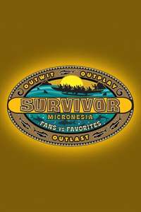 Survivor - Posters
