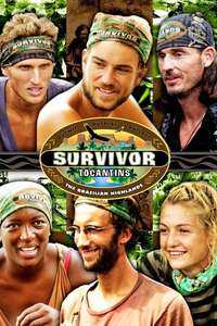 Survivor - Posters