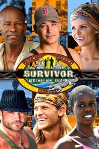 Survivor - Posters