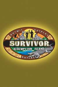 Survivor - Posters