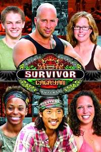 Survivor - Posters