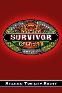 Survivor - Posters