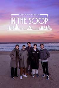 In The Soop: Friendcation - Posters