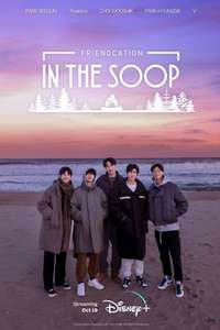 In The Soop: Friendcation - Posters