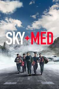 SKYMED - Posters