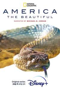 America The Beautiful - Posters