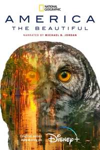 America The Beautiful - Posters