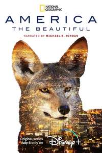 America The Beautiful - Posters
