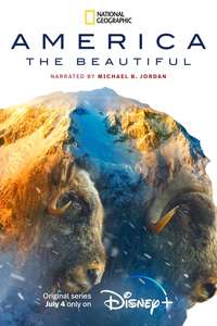 America The Beautiful - Posters