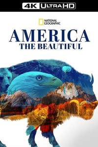America The Beautiful - Posters