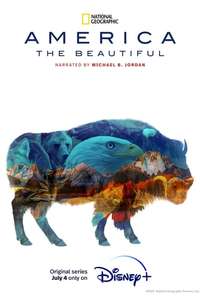 America The Beautiful - Posters
