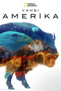 America The Beautiful - Posters