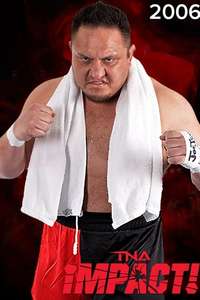 Impact Wrestling - Posters