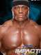 Impact Wrestling : Season 14