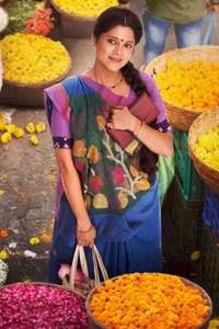Pushpa Impossible - Posters