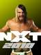 WWE NXT : Season 4
