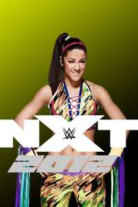 WWE NXT - Posters