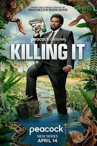 Killing It - Posters