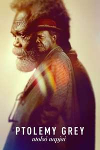 The Last Days of Ptolemy Grey - Posters