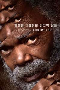 The Last Days of Ptolemy Grey - Posters