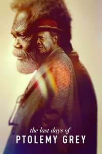 The Last Days of Ptolemy Grey - Posters