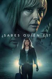 Pieces Of Her - Posters