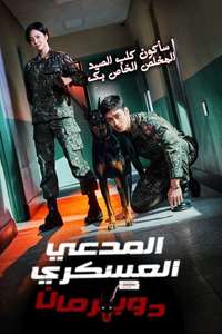 Military Prosecutor Doberman - Posters