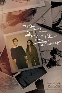 Now  We Are Breaking Up - Posters
