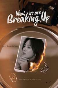 Now  We Are Breaking Up - Posters