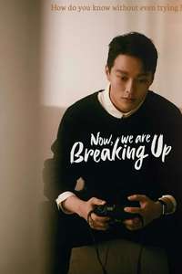 Now  We Are Breaking Up - Posters
