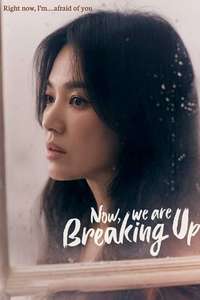 Now  We Are Breaking Up - Posters