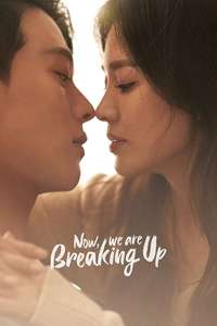 Now  We Are Breaking Up - Posters