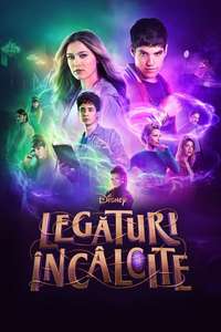 Disney Intertwined - Posters
