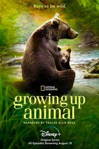 Growing Up Animal - Posters