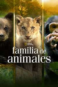 Growing Up Animal - Posters