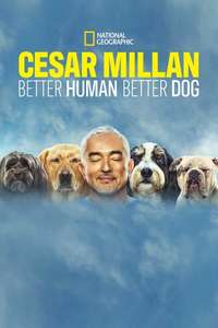 Cesar Millan: Better Human Better Dog - Posters