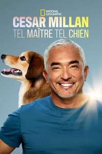 Cesar Millan: Better Human Better Dog - Posters