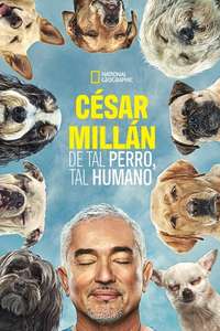 Cesar Millan: Better Human Better Dog - Posters