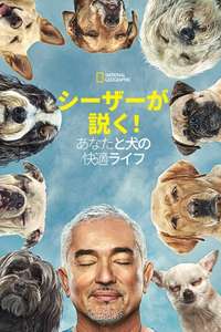 Cesar Millan: Better Human Better Dog - Posters