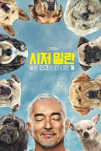 Cesar Millan: Better Human Better Dog - Posters