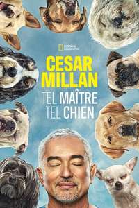 Cesar Millan: Better Human Better Dog - Posters