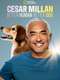 Cesar Millan: Better Human Better Dog : Season 2