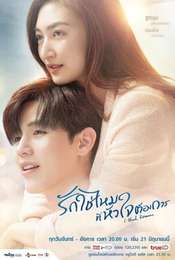 I Need Romance Season 1