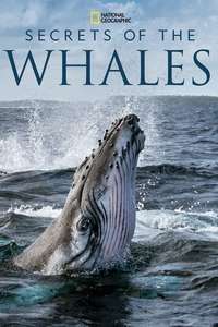 Secrets of the Whales - Posters
