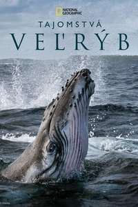 Secrets of the Whales - Posters