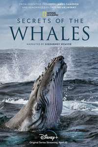 Secrets of the Whales - Posters