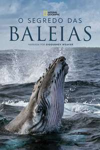 Secrets of the Whales - Posters