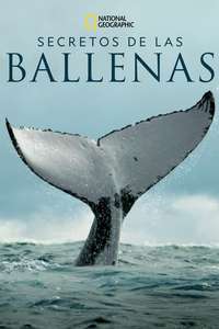 Secrets of the Whales - Posters