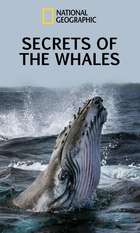 Secrets of the Whales