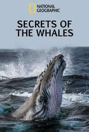 Secrets of the Whales